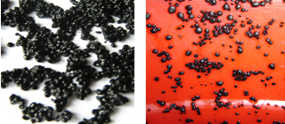 ÀÖ·¢Æ½Ì¨×¢²á(Öйú)¹Ù·½ÍøÕ¾