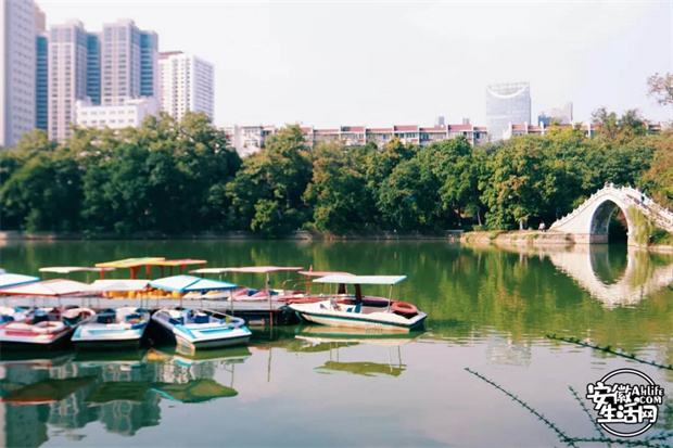 首页-suncitygroup太阳集团官方网站