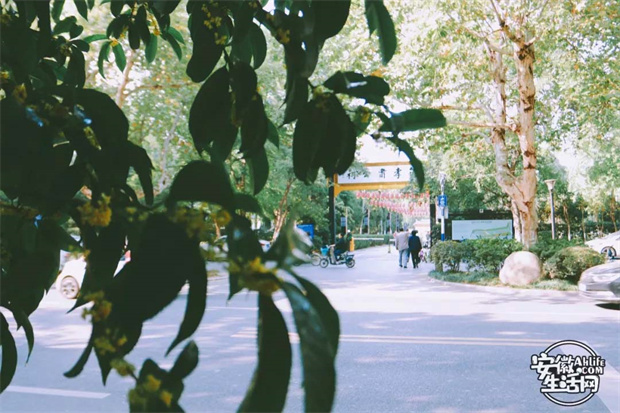 首页-suncitygroup太阳集团官方网站