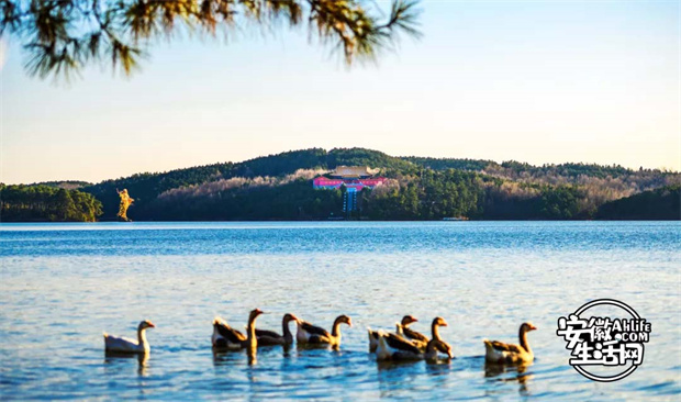 首页-suncitygroup太阳集团官方网站