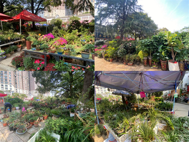 首页-suncitygroup太阳集团官方网站