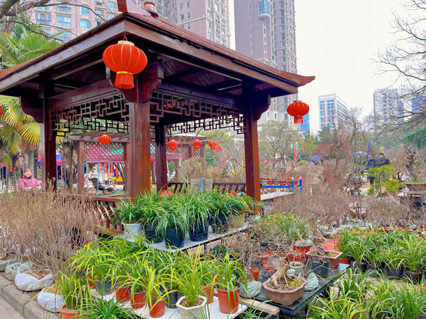 首页-suncitygroup太阳集团官方网站