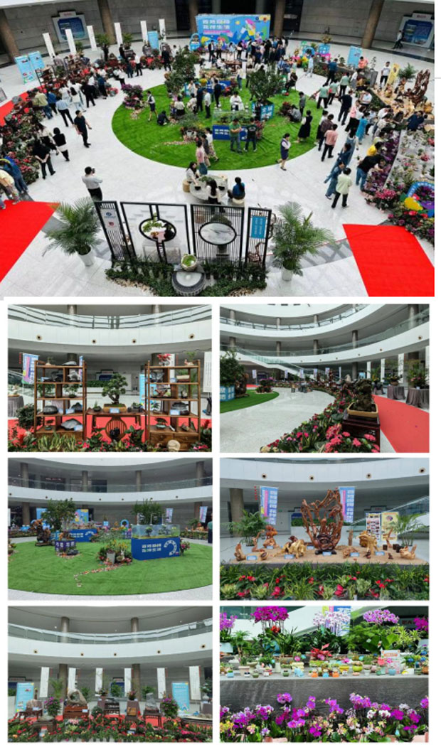 首页-suncitygroup太阳集团官方网站