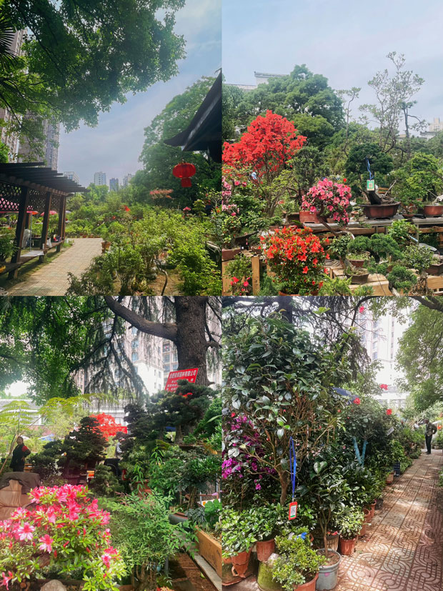 首页-suncitygroup太阳集团官方网站