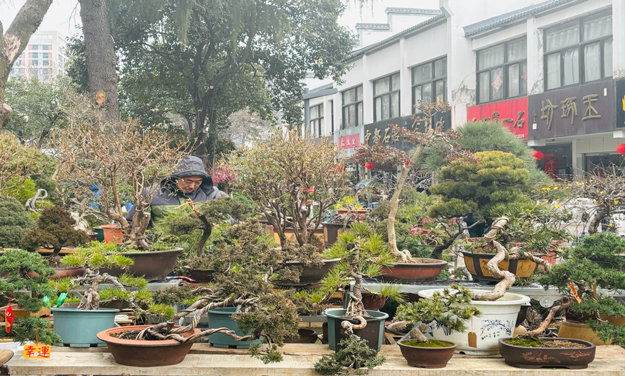 首页-suncitygroup太阳集团官方网站