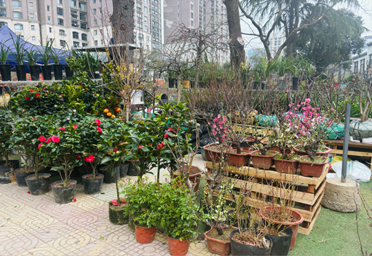 首页-suncitygroup太阳集团官方网站