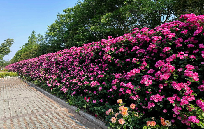 首页-suncitygroup太阳集团官方网站